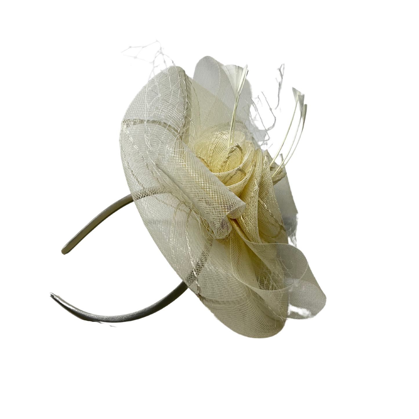 Fleur de disque en filet de fascinateur